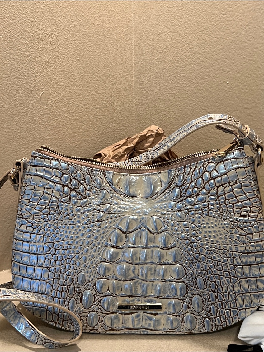 Brahmin bag new